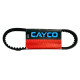 Ремінь варіатора 655-15.5-30 Honda Dio50/Tact CAYCO